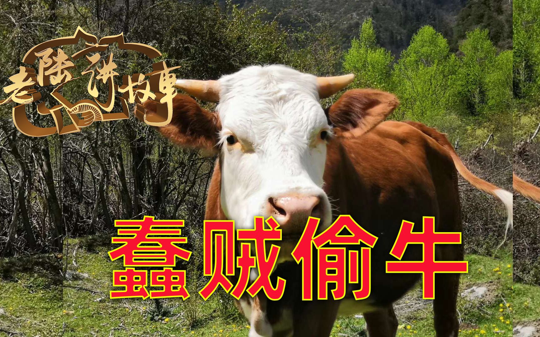 「民间故事」蠢贼偷牛,临走时磕仨头,村里瞬间就灯火通明了