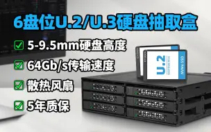 6盘位U.2/U.3 NVMe SSD硬盘盒存储方案分享，让企业数据享受飚速传输