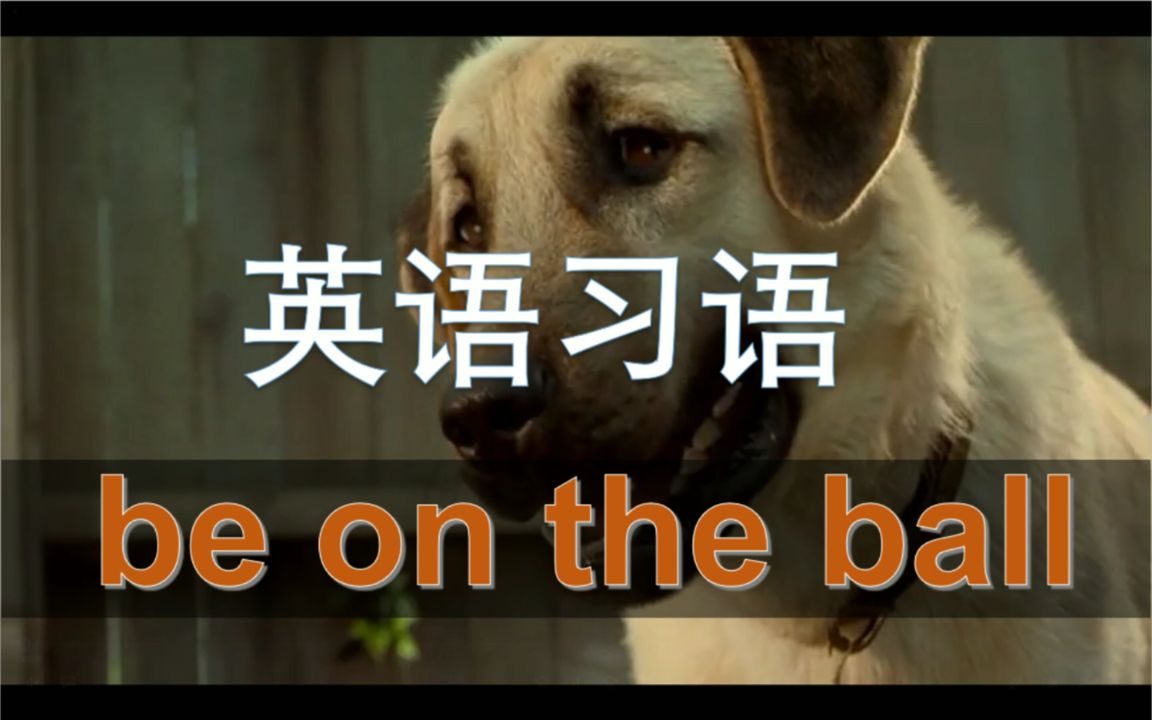 English idiom 英语习语 (16)  be on the ball哔哩哔哩bilibili