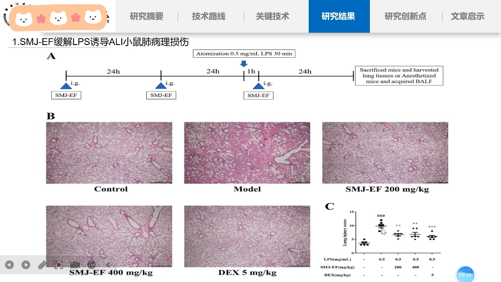 沉浸式体验研究生文献汇报2024.4.16哔哩哔哩bilibili