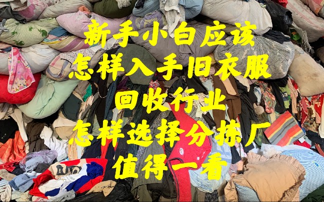 旧衣服回收月入过万新手该如何快速进入旧衣服行业该如何选择正规分拣厂值得一看哔哩哔哩bilibili