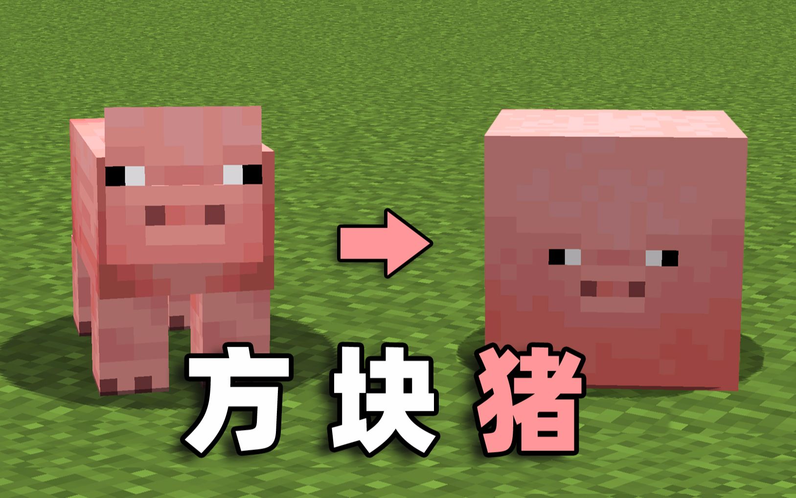 我把猪变成了一个方块太不可思议了