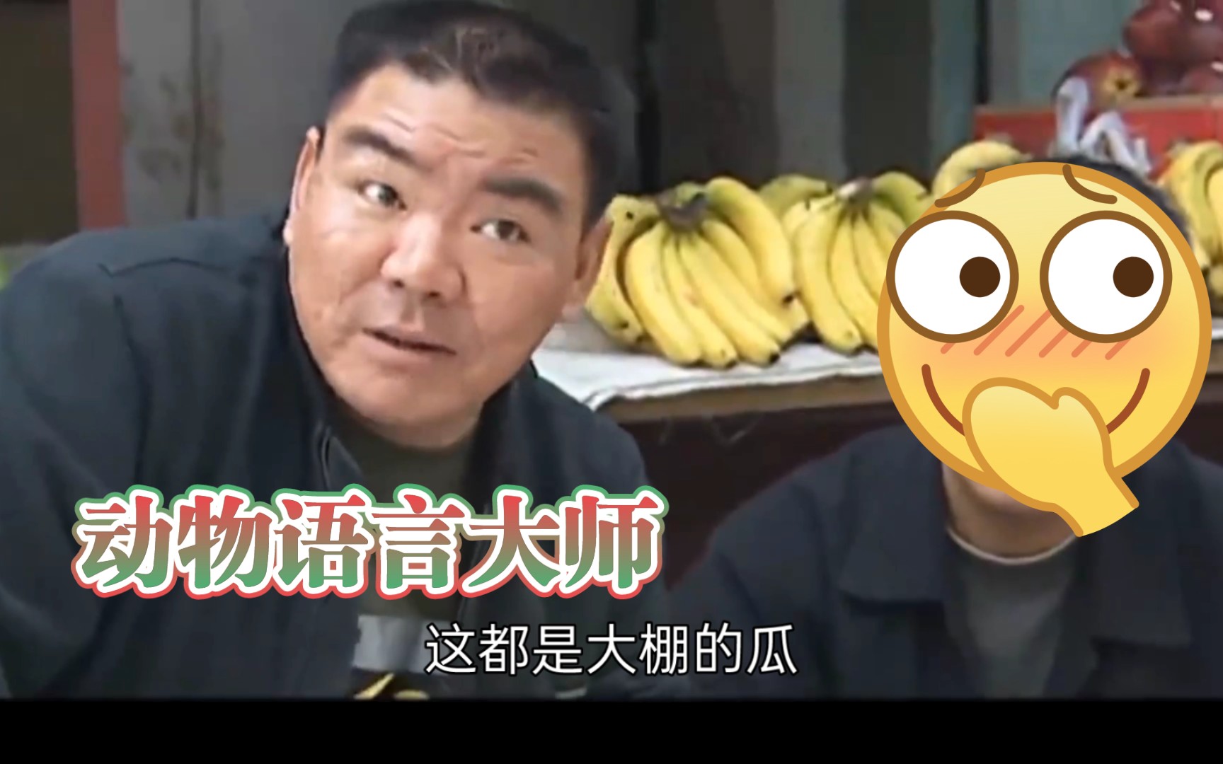 动物语言大师—瓜老板