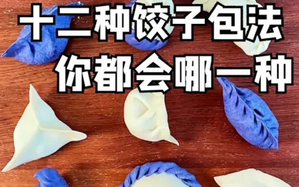 十二种饺子包法大全哔哩哔哩bilibili