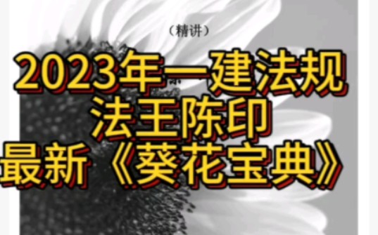 2023年法规法王陈印最新版《葵花宝典》已更新完毕.哔哩哔哩bilibili