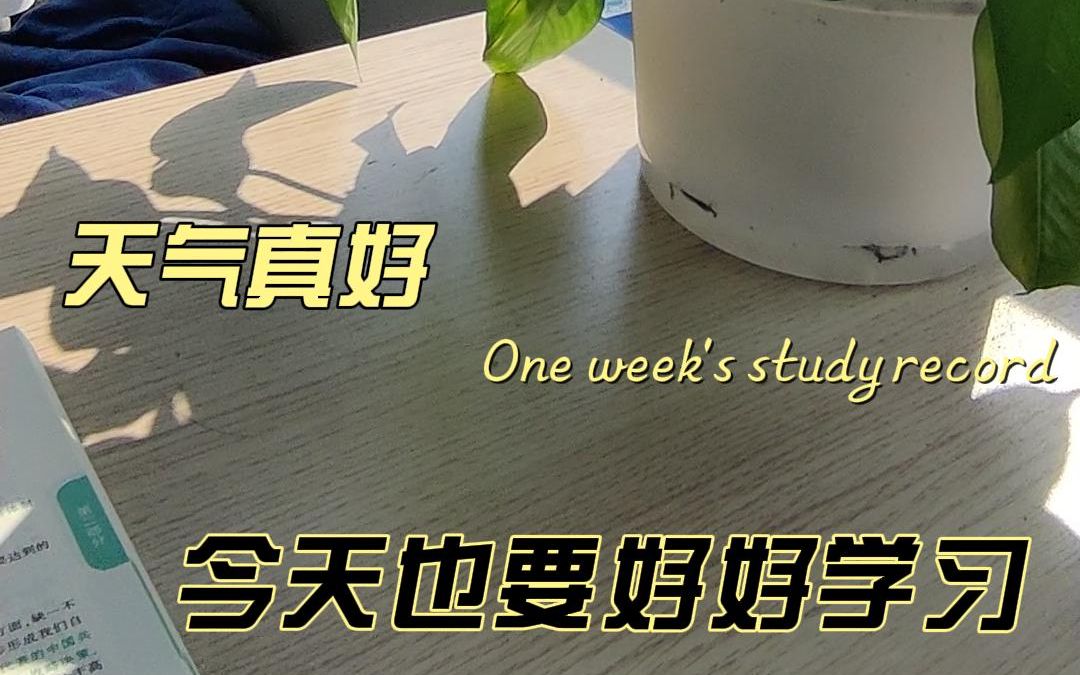 天气真好今天也要好好学习