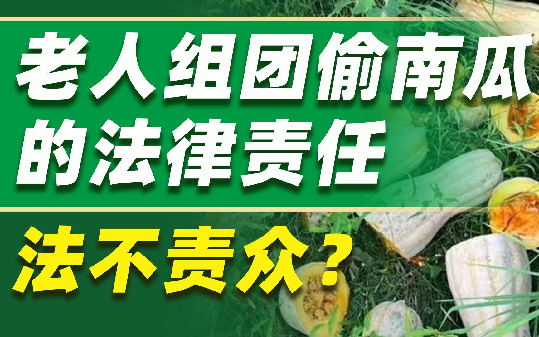 【热点】法不责众?老人组团偷南瓜该不该负法律责任?法硕 | 法律硕士【智诚法硕】哔哩哔哩bilibili