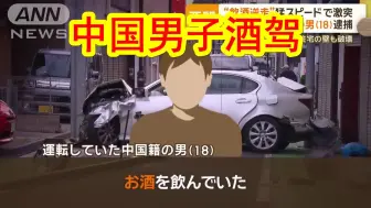 Download Video: 【中日双语】18岁中国籍男子在日本酒驾、逆行、危险驾驶撞死日本人遭日本警方逮捕起诉。据目击者称「日语很6，本以为是日本人，没想到是中国人」