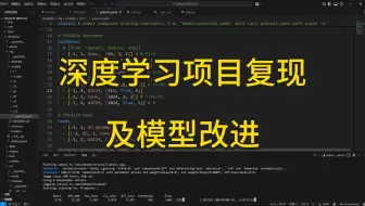 深度学习项目复现后应该如何改进？含unet、vit、yolov12模型改进