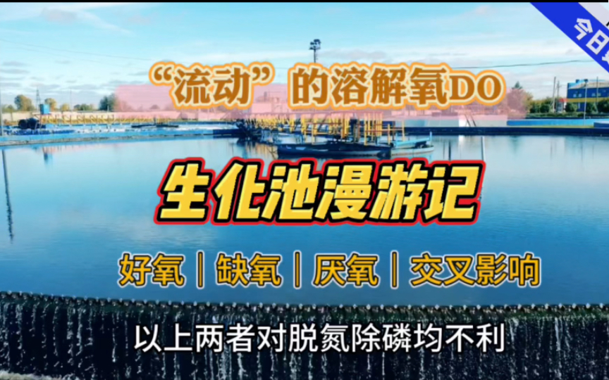 污水处理厂:“流动”的溶解氧DO生化池漫游记,在好氧、缺氧、厌氧池控制、影响及系统变化哔哩哔哩bilibili