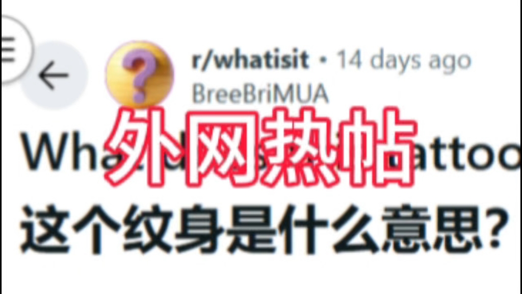 这个纹身是什么意思?【151】