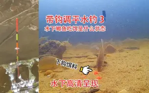 Video herunterladen: 带钩调平水钓3目，水下鲫鱼吃饵是什么状态