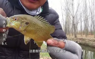 Скачать видео: 野钓：去最远的地方钓鱼，山高水清鱼儿多，这都钓了些什么鱼