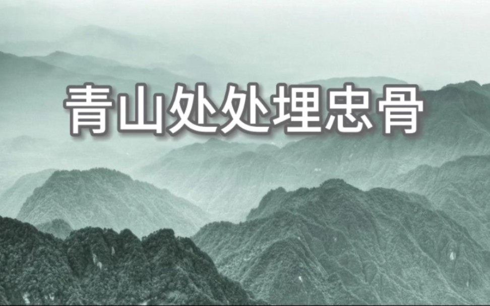 红色诵读/朗诵《青山处处埋忠骨》背景视频哔哩哔哩bilibili