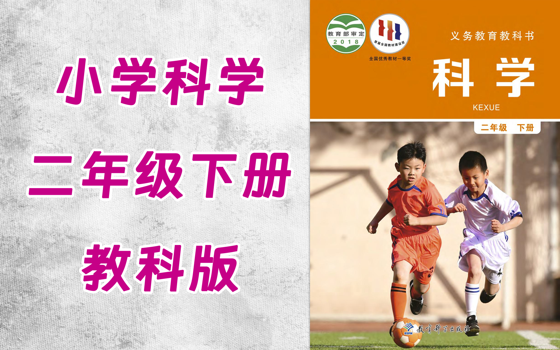 tt0026-049-小学二年级科学教科版下册-全16集