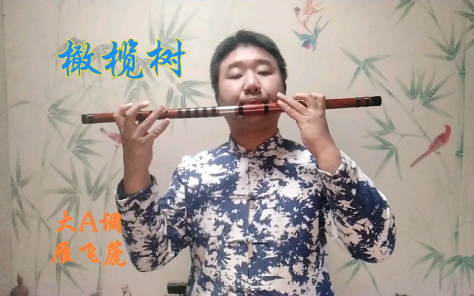 【雁飞篪】橄榄树·大a调雁飞篪作5