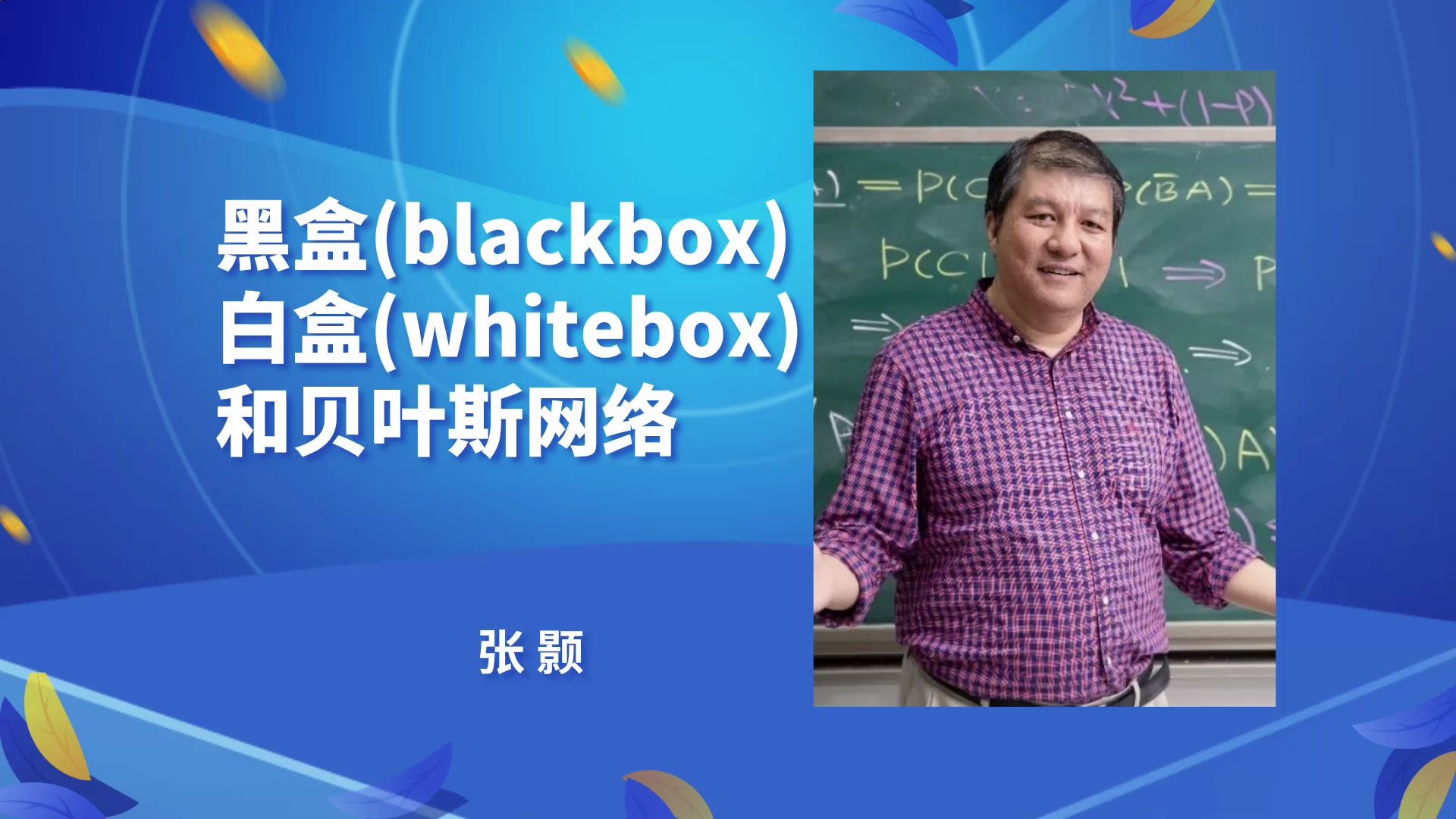 【黑盒(blackbox),白盒(whitebox)和贝叶斯网络】——张颢(清华大学)哔哩哔哩bilibili