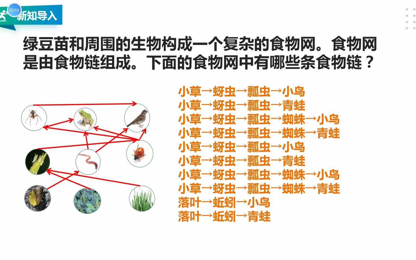 设计和制作生态瓶哔哩哔哩bilibili