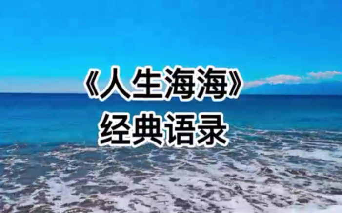 《人生海海》经典语录哔哩哔哩bilibili