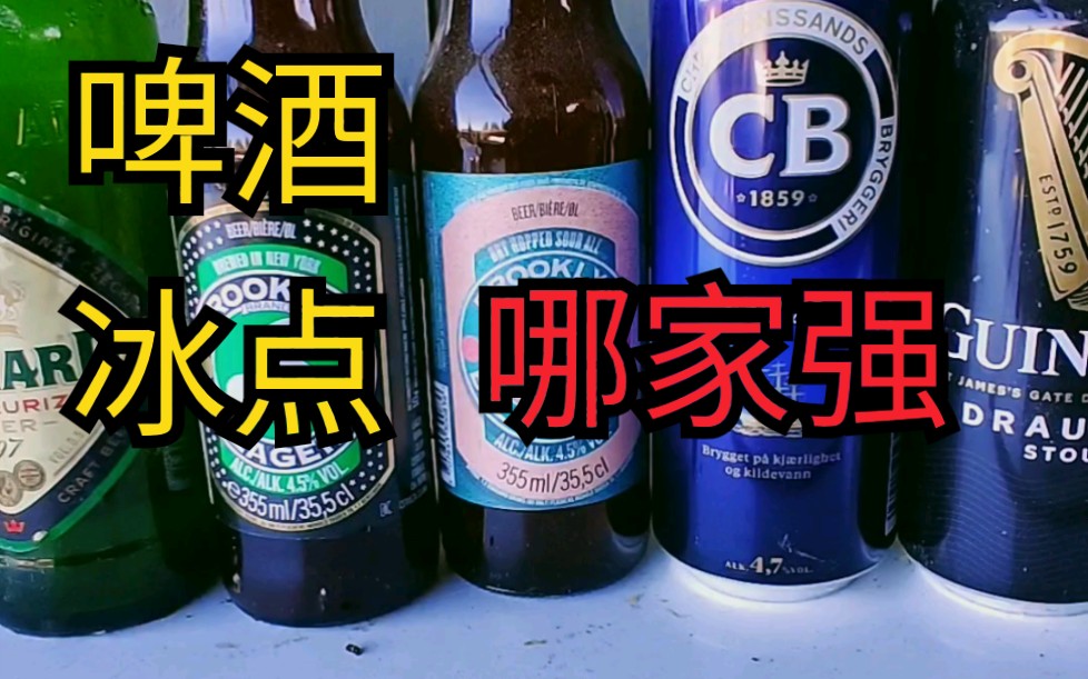 拉格,艾尔,玉米,黑啤酒防冻,哪家强?