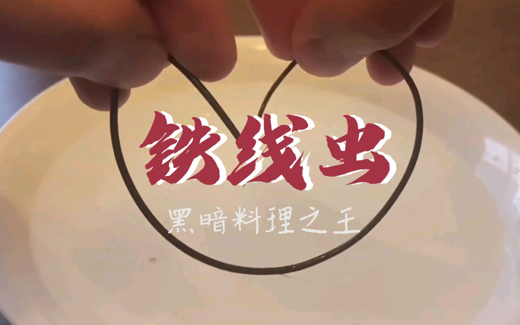 黑暗料理,油炸活螳螂铁线虫,你吃过吗?哔哩哔哩bilibili