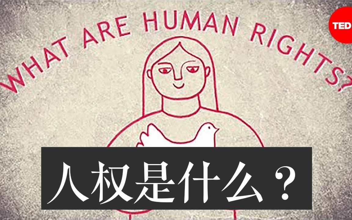 【TEDed】人权是什么?What are the universal human rights?哔哩哔哩bilibili