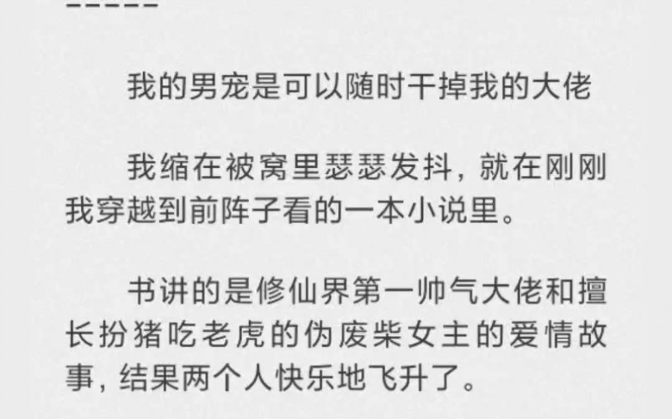 我的男宠是可以随时干掉我的大佬.我缩在被窝里瑟瑟发抖,就在刚刚我穿越到前阵子看的一本小说里.哔哩哔哩bilibili