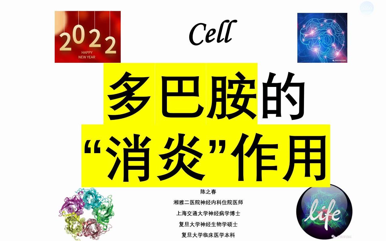 Cell—多巴胺是一种“消炎”分子!!哔哩哔哩bilibili