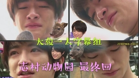 大俊一人字幕组 天才 志村动物园 知念cut第二弹 中字 哔哩哔哩 つロ干杯 Bilibili