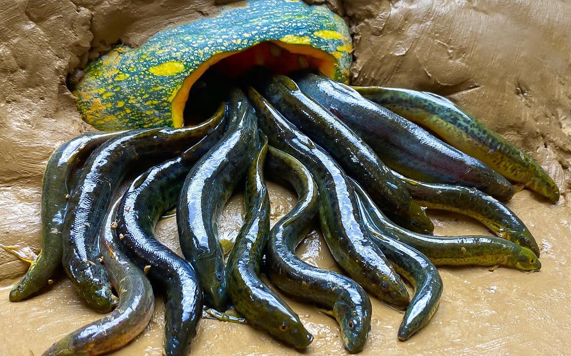 钓鱼河抓地下鳗鱼-磁性烹饪球:乐高巧克力,柠檬糖饼干