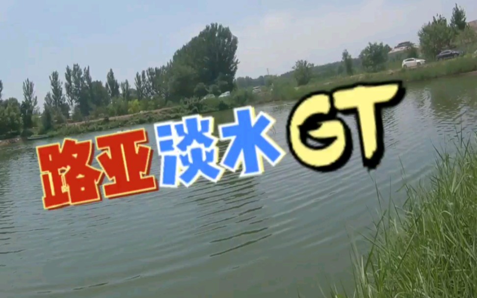 路亚淡水GT白鲳红腹鲳哔哩哔哩bilibili