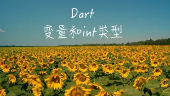 Dart中的变量和int类型 第30节 Dart中的变量和int类型 跟着SKY 学编程
