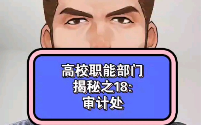 高校职能部门揭秘之18:审计处哔哩哔哩bilibili