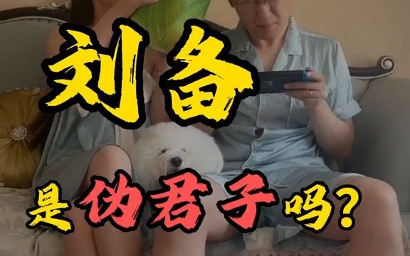 刘备是伪君子吗?真的借荆州不还吗?哔哩哔哩bilibili