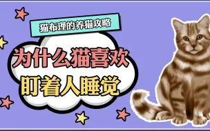 Download Video: 猫咪为什么半夜盯着你睡觉？