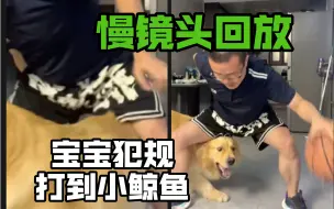 Download Video: 破案了！宝宝违体犯规！打到鲸鱼的小鲸鱼！导致徐静雨狂怒爆摔宝宝！