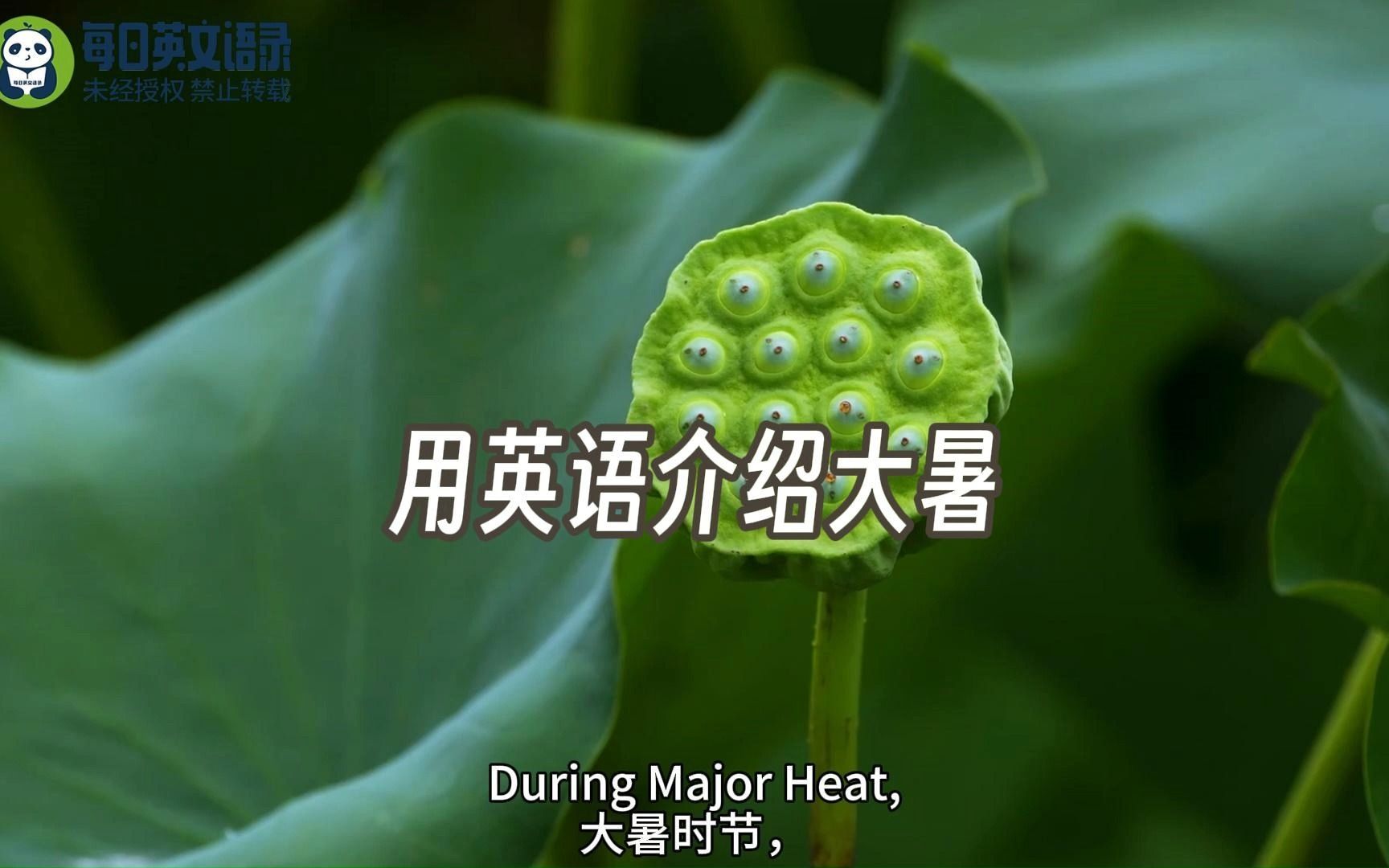 [图]用英语介绍大暑节气—Major Heat ，有关24节气的英文作文