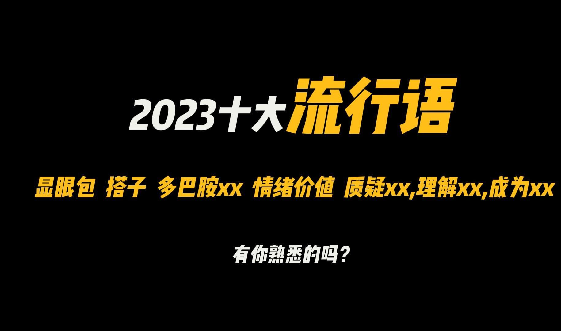 2023十大流行语——显眼包 搭子 多巴胺xx 情绪价值 质疑xx,理解xx,成为xx哔哩哔哩bilibili