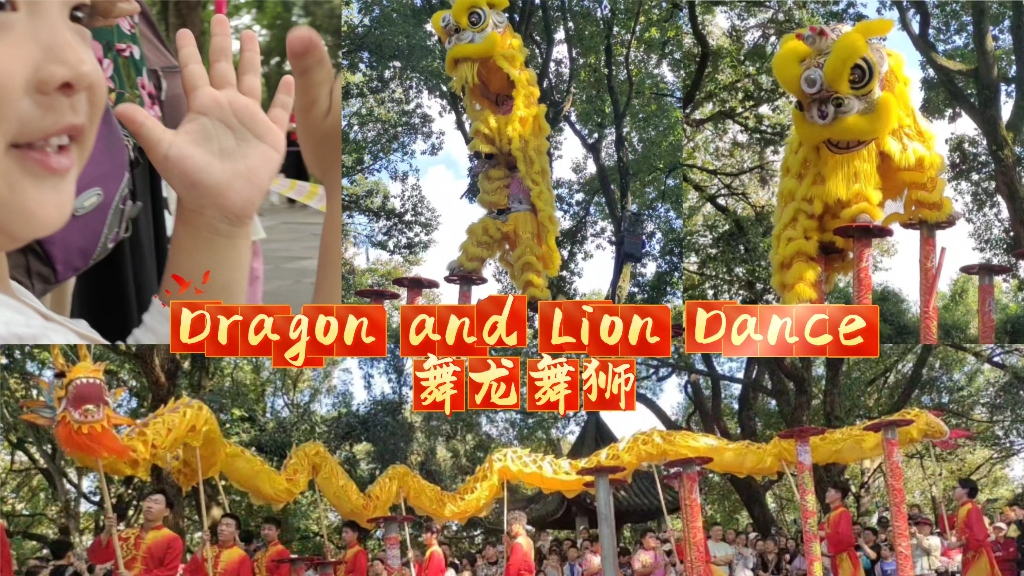 Dragon and Lion Dance 舞龙舞狮哔哩哔哩bilibili