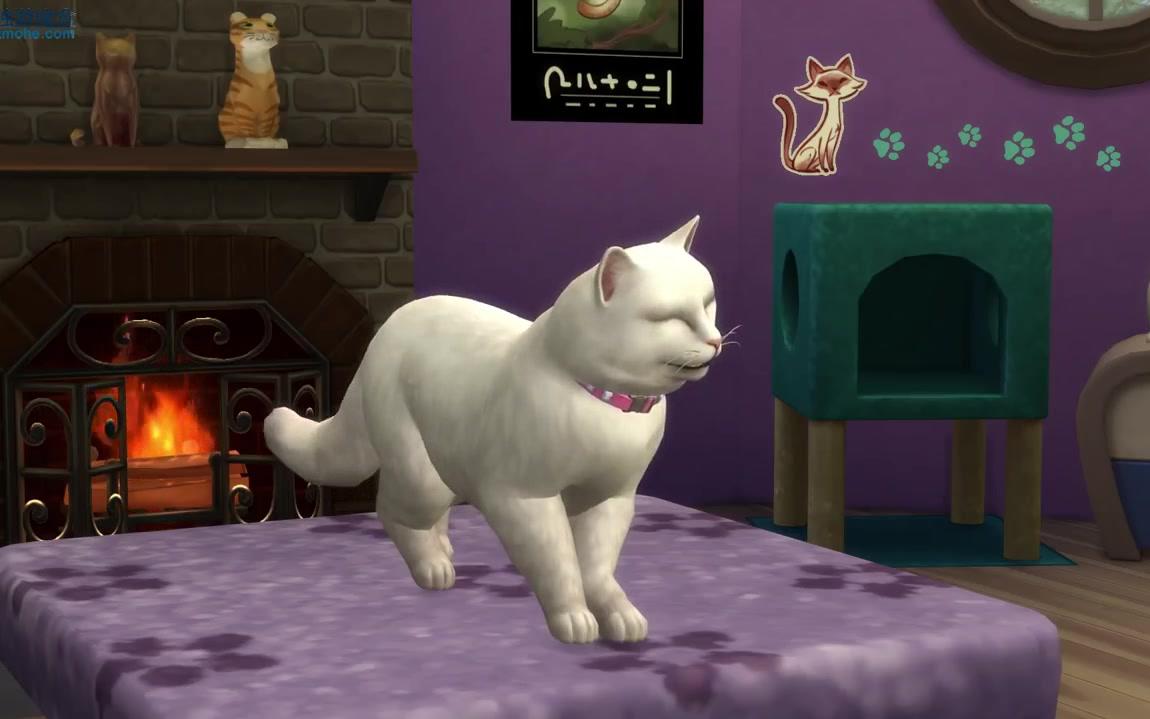 [图]独立游戏资讯，好玩的独立游戏《模拟人生4猫狗总动员 The Sims 4: Cats & Dogs》-独游魔盒