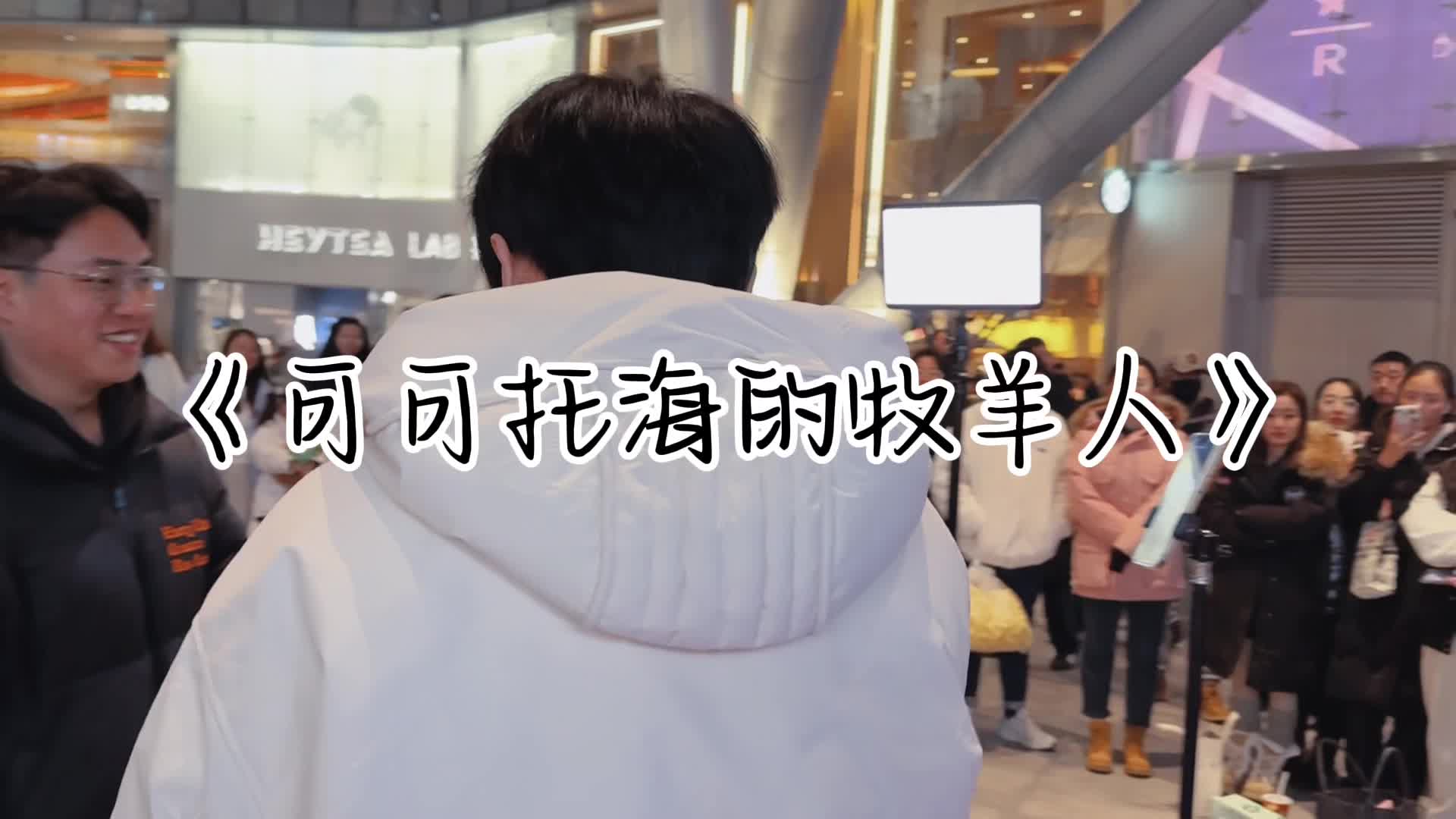 街头唱歌 #可可托海的牧羊人 #海来阿木 #鲁怀德