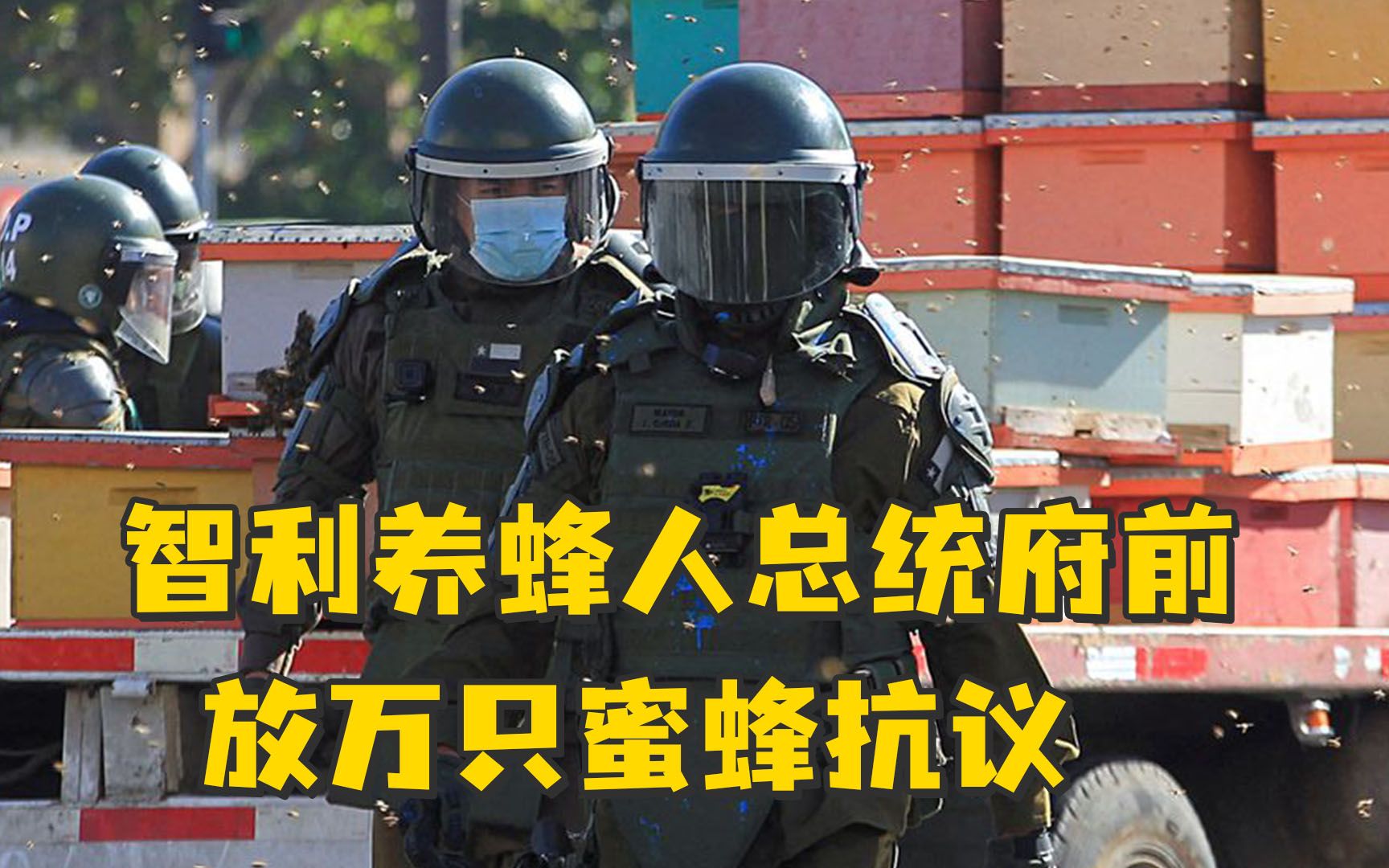 [图]智利养蜂人在总统府前放万只蜜蜂抗议，7名警察被蜇伤，4人被捕