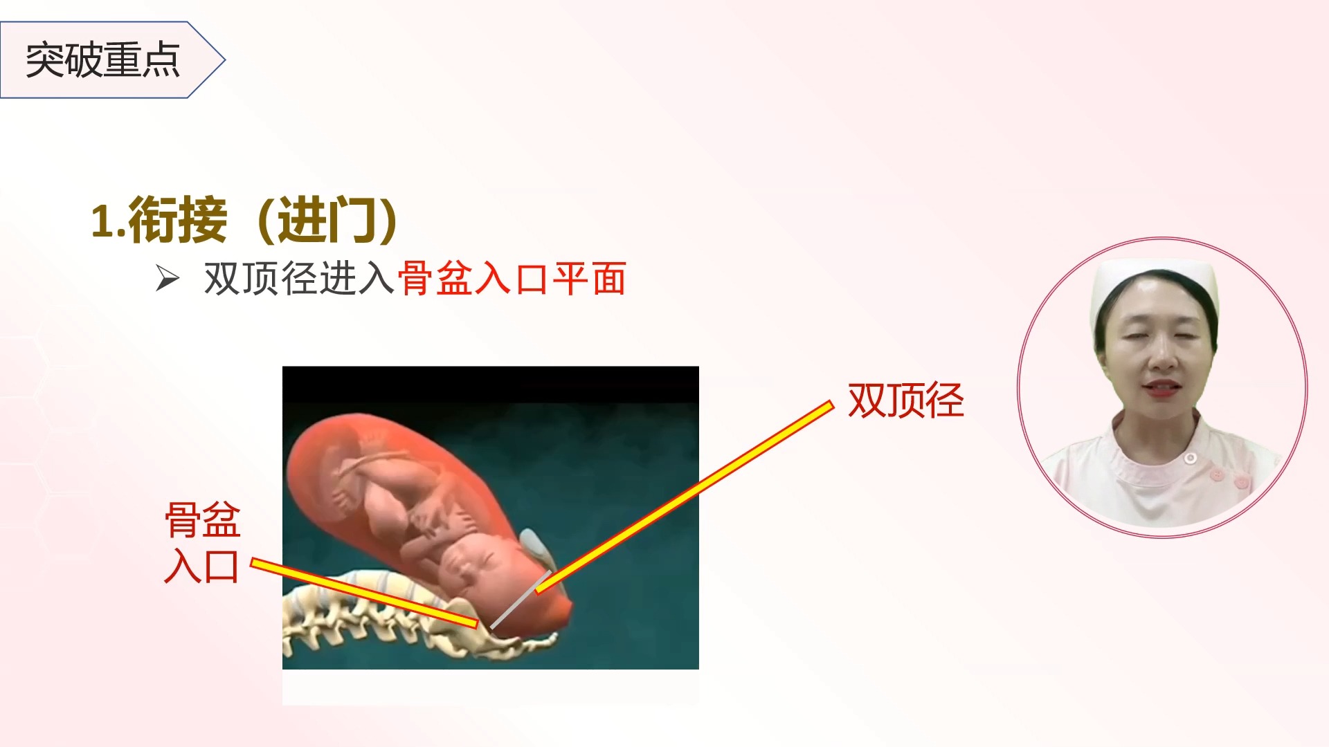 [图]视频二---分娩机制