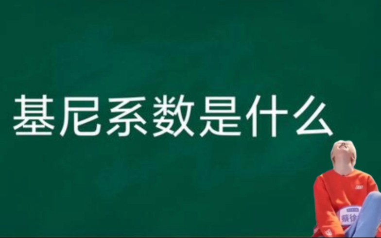 基尼系数是什么?百年之后一位米国小伙子特地创作了一首歌曲歌颂基尼先生的贡献.哔哩哔哩bilibili