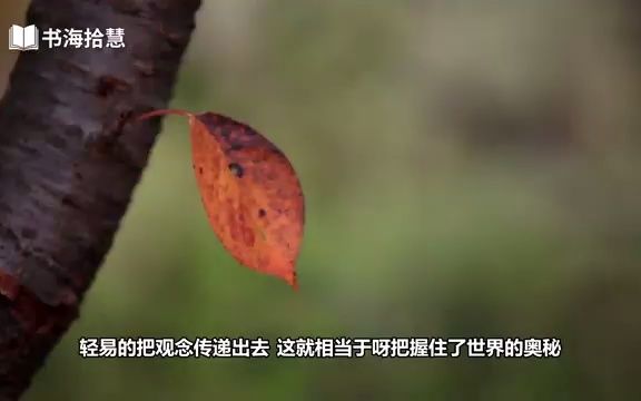 [图]好书解读：《引爆点：如何引发流行》作者：马尔科姆·格拉德威尔（Malcolm Gladwell） 【书海拾慧】