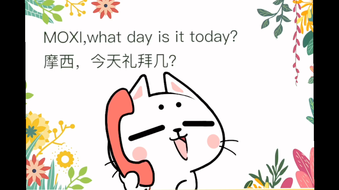 今天我们来学习礼拜天的英文哦小朋友们你们学会了吗摩西学英语猫与熊