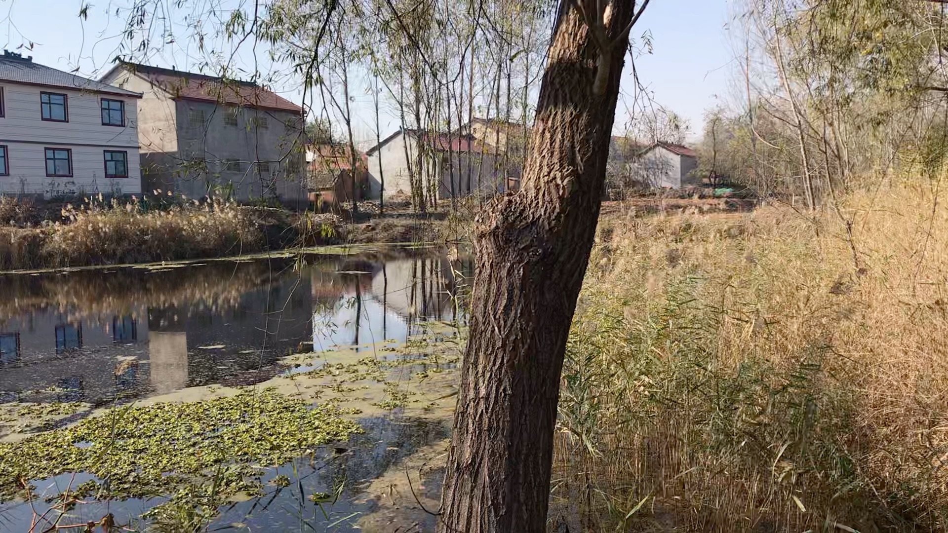 鲁西南农村老家,第一视角拍摄