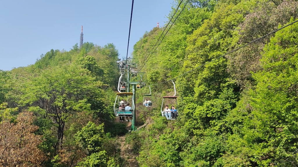 岳麓山缆车大学生图片