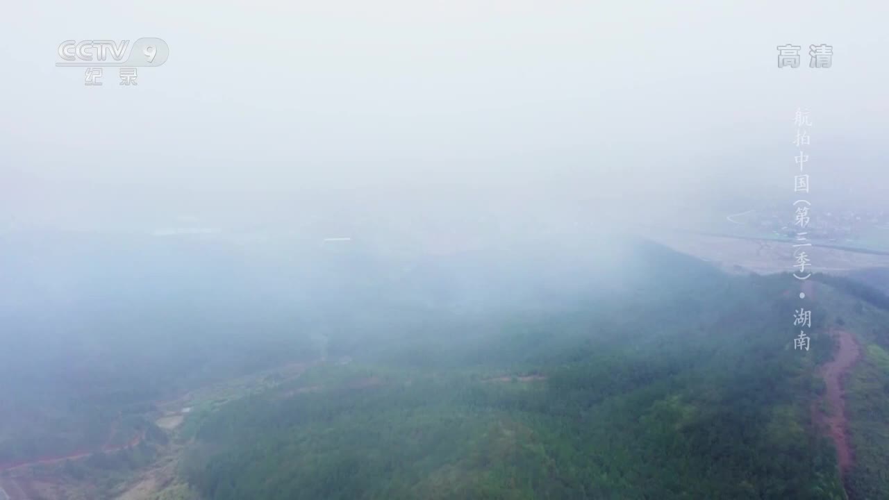 [图]《航拍中国》第三季 第八集：满城游走的香火龙是人们祈求风调雨顺的传统_ CCTV纪录