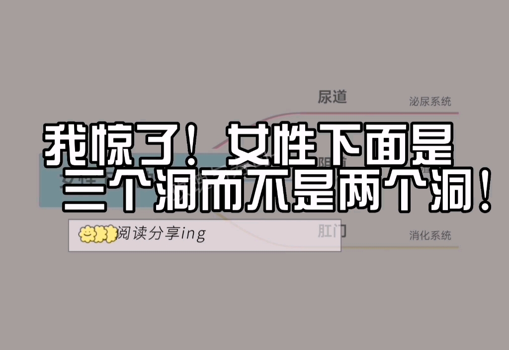 我惊了!原来女性下面是仨洞不是俩洞!哔哩哔哩bilibili